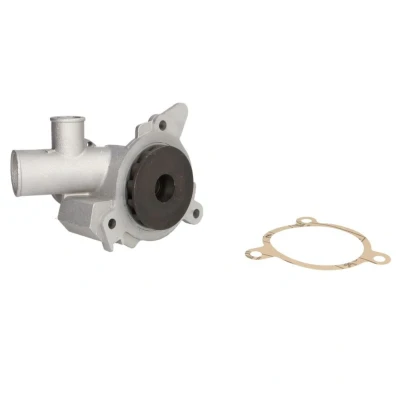 Image de INA 538 0160 10 Pompe à eau pour commande courroie trapézoïdale BMW: 3 Cabriolet, Berline, 5 Berline