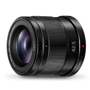 Image de Panasonic H HS043E MILC Téléobjectif Noir Neuf