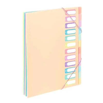 Image de Viquel Trieur document A4 avec 12 Compartiments Organisateur de bureau extensible Porte index Fermeture par élastique Rainbow Pastel Beige