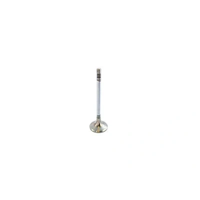 Image de BGA V142049 Soupape d&#039;Admission PEUGEOT: Partner II Tepee, 308 I 3/5 portes, 5008 I, CITROËN: C4 Aircross, C5 III Break, Picasso 1, VOLVO: S80
