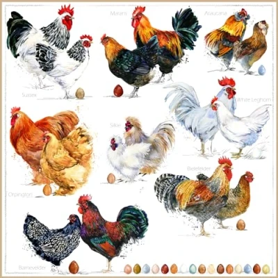 Image de Lot de 20 serviettes table Différents types poules Animaux Ferme Pâques Décoration Decoupage Technique 33 x cm