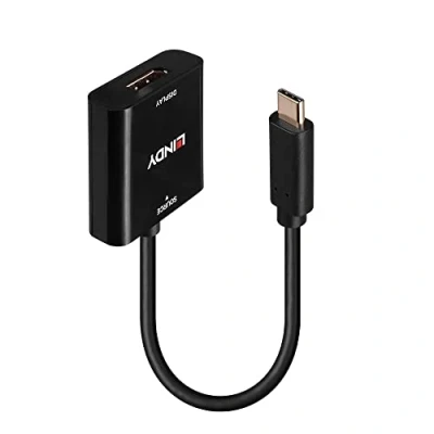 Image de CONVERTISSEUR USB TYPE C VERS DISPLAYPORT 4K144 LINDY