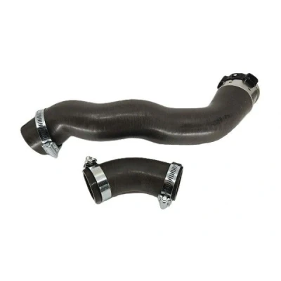 Image de BUGIAD 82566 Gaine De Suralimentation avec colliers RENAULT: Megane 4, Captur, Kadjar, NISSAN: Qashqai 2, X Trail, DACIA: Lodgy, Duster II