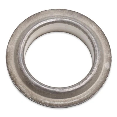 Image de SASIC 2650011 Patin de ressort Essieu avant, droit CITROËN: C3 I 3/5 portes, C2 Pluriel