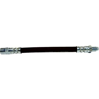 Image de DELPHI LH6611 Flexible De Frein 196 M10x1 Int SF VOLKSWAGEN: Transporter 4 Bus,