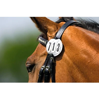 Image de EQUITHÈME Porte numéro