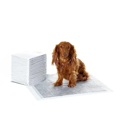 Image de Amazon Basics Lot de 40 Protections pour déjections Canines, avec du Charbon Assurer Le contrôle des odeurs, Anti Fuite, Surface à séchage Rapide, Taille Classique Chiens et Chiots, Gris
