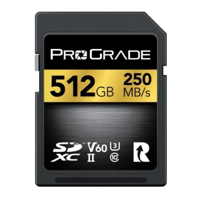 Image de Carte SD UHS II 512Go V60 Vitesse d&#039;écriture jusqu&#039;à 130Mo/s et de Lecture 250Mo/s pour Les Professionnels, cinéastes, photographes conservateurs Contenu par Prograde Digital