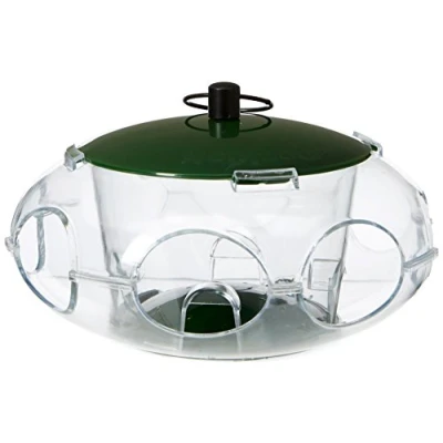 Image de Peckish Mangeoire à graines pour Petits Oiseaux Vert 24,8 x 14,8 5,4 cm 60053061