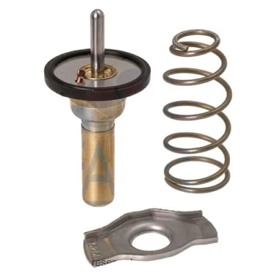 Image de Thermostat d&#039;eau FACET 7.8774