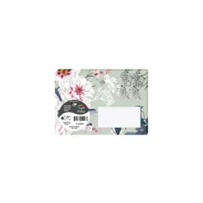 Image de Clairefontaine 55029C Paquet de 20 Enveloppes Imprimées Gommées Format C6 11,4x16,2cm 120g Coloris Vert Clair Thème Botanic Garden Invitation Evènements et Correspondance Gamme Pollen