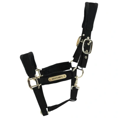 Image de Kentucky Licol velours Noir Full