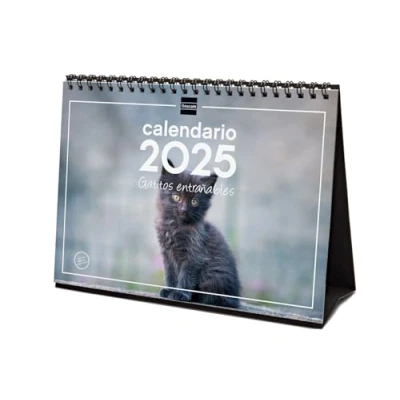 Image de Finocam Calendrier photo de bureau pour écrire 2025 mois vue janvier décembre (12 mois) Chatons espagnols