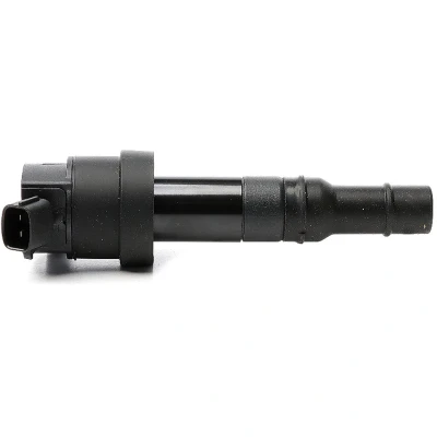 Image de METZGER 0880532 Bobine d&#039;allumage 2 12 KIA: RIO 3, Picanto II, III, HYUNDAI: i20 I 3/5 portes, II portes