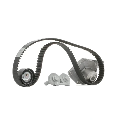 Image de BOSCH 1 987 946 982 Pompe à Eau + Kit De Distribution 123 RENAULT: LAGUNA 3, Clio III Grandtour, MEGANE 2 Coupe Cabriolet, DACIA: Duster SUV