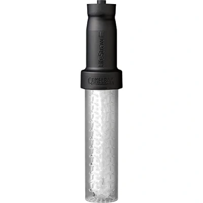 Image de LIFESTRAW REPLACEMENT BOTTLE FILTER SET, LARGE 2022