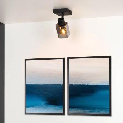 Image de Lucide Spot pour plafond Alion abat jour verre, 1 lampe