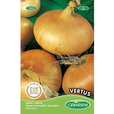 Image de Germisem graines Oignon jaune paille VERTUS