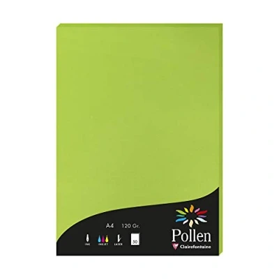 Image de Clairefontaine 4215C Étui de 50 Feuilles Format A4 (21x29,7cm) 120g/m² Coloris Vert Menthe Papier d&#039;Invitation Evènements et Correspondance Gamme Pollen Premium Lisse