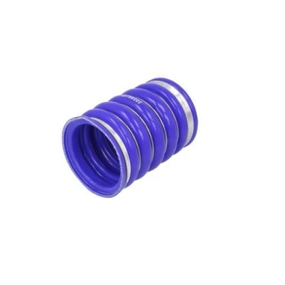 Image de THERMOTEC SI VO10 Durite De Refroidissement Sortie VOLVO: FMX, FM 9