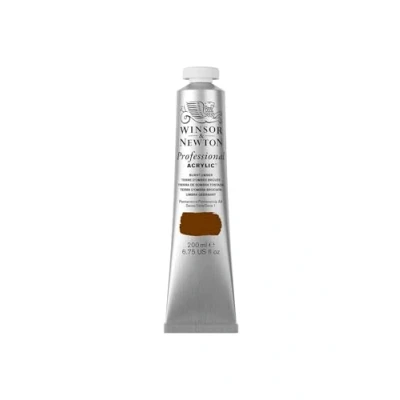 Image de Winsor &amp; Newton Professional Acrylique Tube 200ml 076 Terre d&#039;Ombre Brûlée