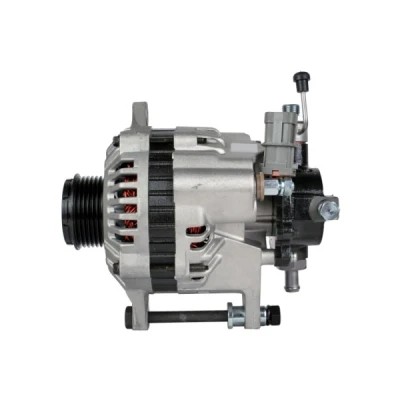 Image de HELLA 8EL 012 427 511 Alternateur 14V 100A OPEL: Astra H 3/5 portes, Meriva A, Corsa C VAUXHALL: Mk5, Mk2