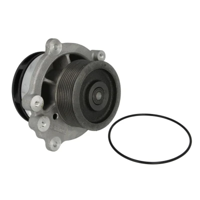 Image de THERMOTEC WP DF113 Pompe à eau