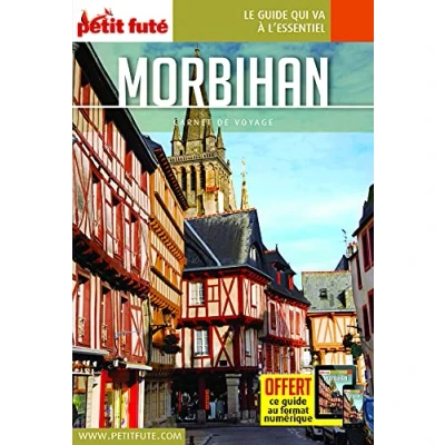Image de Guide Morbihan 2021 Carnet Petit Futé Livre d’occasion Correct