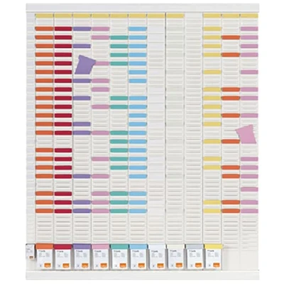 Image de Leitz Nobo Kit Planning Annuel à Fiches T, Mural, 12 Colonnes &amp; 54 Fentes pour T Indice 2, Colorées/Colonne Index/Étiquettes Imprimées/Porte étiquettes Inclus, Blanc, 1915626