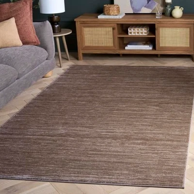 Image de Safavieh Grand Tapis de Salon rectangulaire pour Une Utilisation en intérieur, Polypropylène, Marron Clair, 90 X 150 cm