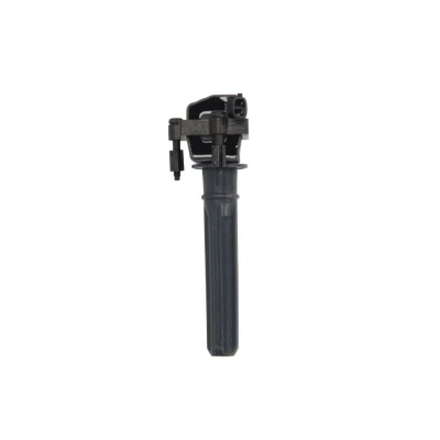 Image de DELPHI GN10187 12B1 Bobine d&#039;allumage 2 12 CHRYSLER: 300C Touring, Berline