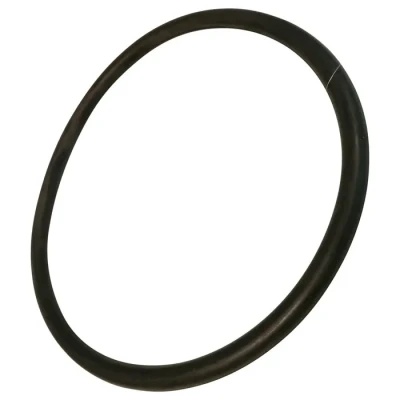 Image de Joint de carter (bac fond cuve) Lave vaisselle 34421174 PROLINE