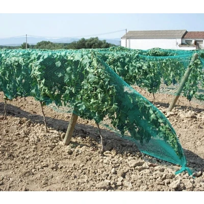 Image de &#039;Direct Filet&#039;&#039; &#039;Filet Anti Oiseaux Maille 25mm Longueur 100m 2 m Noir