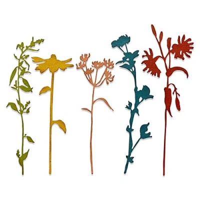 Image de Sizzix Thinlits Die 665221 Tiges de fleurs sauvages #3 par Tim Holtz Pack 5