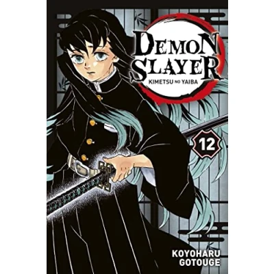 Image de Demon Slayer T12 Livre d’occasion Bon