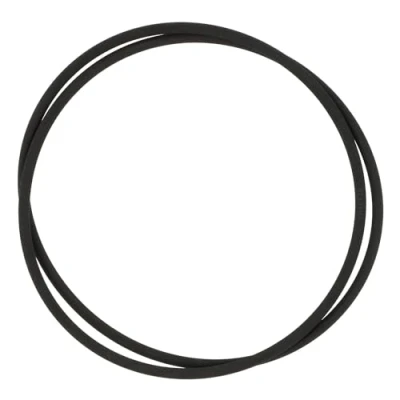 Image de THAKKER Courroie de précision Adaptée à la Platine Vinyle Rega Planar P3 Long Life d&#039;entraînement excellentes propriétés synchronisation