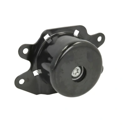 Image de REINHOCH RH11 5035 Support moteur gauche hydraulique OPEL: Meriva A, Corsa C 3/5 portes, Combo Tour