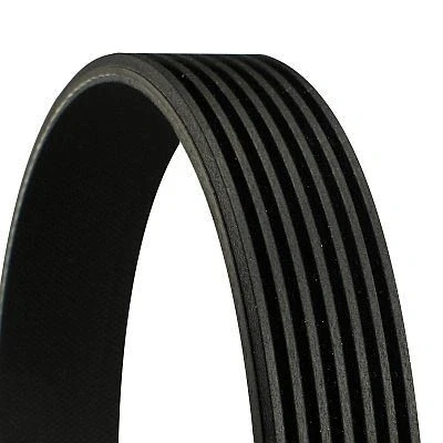 Image de CONTITECH 7PK1038 ELAST Courroie Poly V 1038mm 7 DACIA: Duster SUV, II, Lodgy, RENAULT: Arkana I