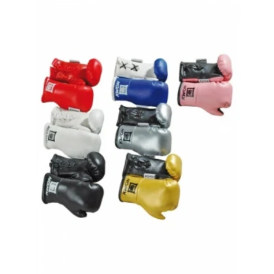 Image de Mini Gants de Boxe Kwon